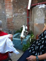 /album/bildgalleri/bild-057-jpg/